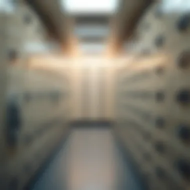 Interior view of a safety deposit box facility showcasing secure storage options